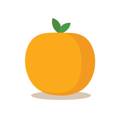 Cute orange citrus icon vector illustration, simple mandarin orange tangerine fruit image