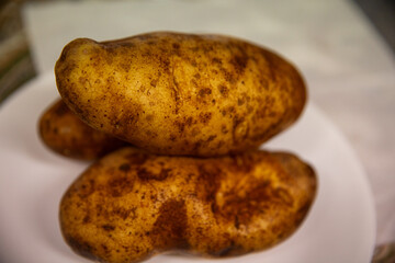 Three Russet Potatoes