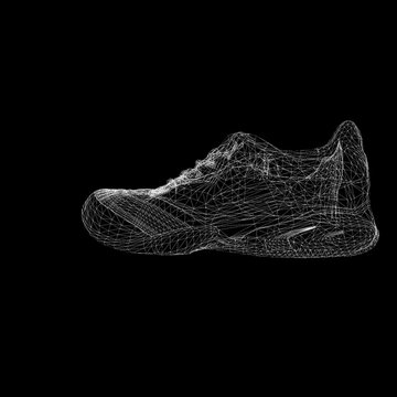 Animation of a rotating wireframe model of a shoes.