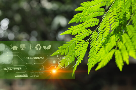 green leaf fresh nature tree leaves with sign icon eco clean energy low carbon footprint pollution free saving environment image concept