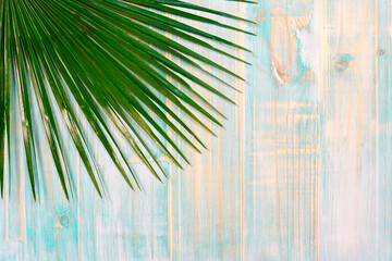Composition with palm leaf isolated on left margin on worn turquoise blue painted planks background...