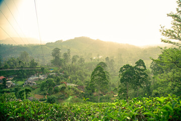 Hill Country, Nuwara Eliya, Sri Lanka. Tea fields and hills against blue sky