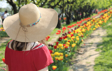girl with wide  straw boater hat in the field of Tulips in spring - 783598501