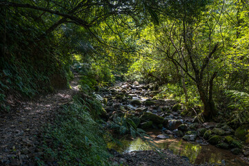 Lovely scene of a river corner, trail next to the river hidden in the forest, and sunlight shines...