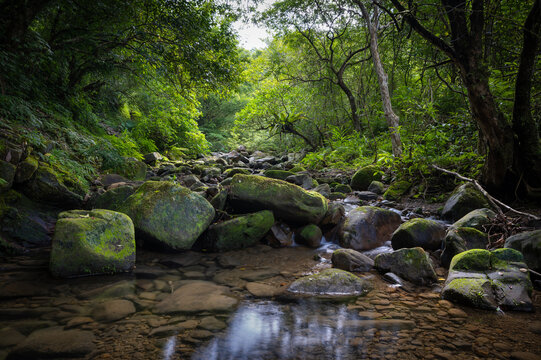 Lovely scene of a river center, beautiful rocks lay down across the river and moss covered on it, in Bengshankeng historical trail, New Taipei City, Taiwan.