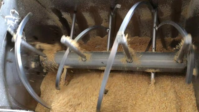 Industrial animal feed mixer with single ribbon inside is mixing