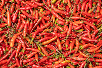 Fresh red hot chili peppers background. Dry red chilies are a condiment that adds color and heat to...