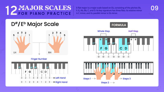 D Sharp Major Scale or E Flat Major, Visual Guide Essential Music Theory for Piano
