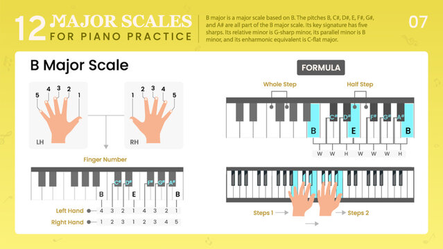 B Major Scale Visual Guide Essential Music Theory for Piano