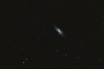 Koi fish galaxy