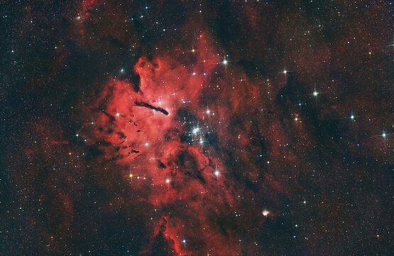 Space Nebula (NGC 6823)