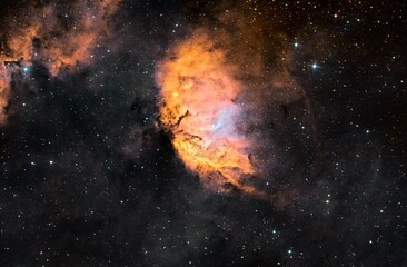 Tulip nebula