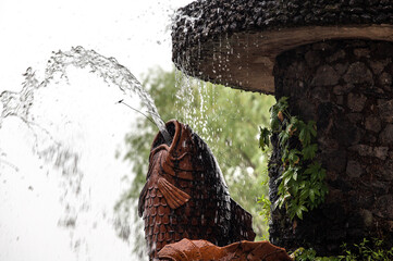 View of the fountain in the park