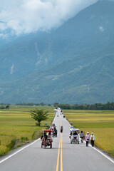 Famous straight blvd surrounded by rice field, in Chishang, Taitung, Taiwan.