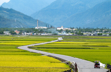 Famous curved blvd surrounded by rice field, in Chishang, Taitung, Taiwan.