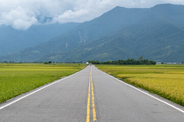 Famous straight blvd surrounded by rice field, in Chishang, Taitung, Taiwan.