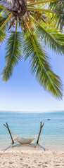 Hamac sous cocotier, plage paradisiaque des îles tropicales 