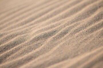 Sandy surface texture, cool for background