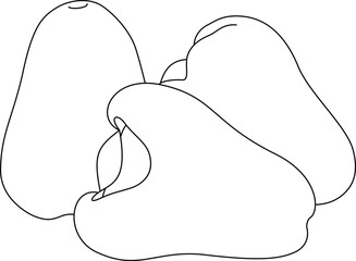 Water Apple Isolated Vector Illustration Hand Drawn Coloring Page for Kids