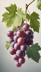 a painting of grapes with leaves and flowers on them,