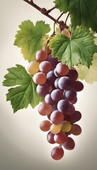 two bunches of grapes hanging from the leaves of a tree