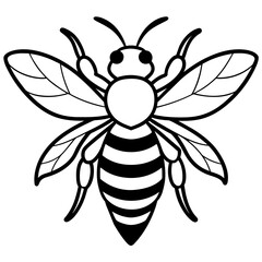           Asian giant hornet bee vector illustration.

