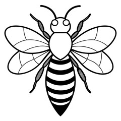           Asian giant hornet bee vector illustration.
