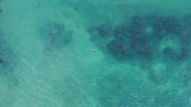 Aerial view of people snorkeling at turtle point in Mirissa, Sri Lanka
