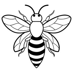           Asian giant hornet bee vector illustration.
