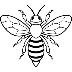 Fototapeta premium Asian giant hornet bee vector illustration. 