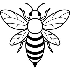           Asian giant hornet bee vector illustration.

