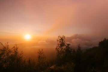 Fototapeta na wymiar Beautiful landscape of forests on a foggy sunrise in Bali