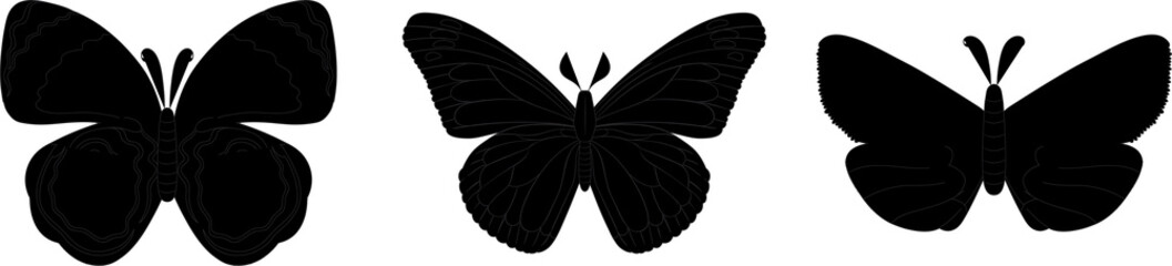 Hand drawn butterfly set design