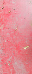 Fototapeta premium objects for backgrounds and wallpapers of mobile phones and computers, taken from a close distance