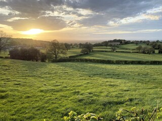 A view of the Cheshire Countryside at Peckforton