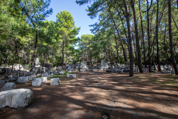 Phaselis Ancient City in Kemer of Antalya. Glorious beaches, calm sea, fab snorkelling and all set within ancient ruins that set the imagination. The charming historical place a the tranquil beach.