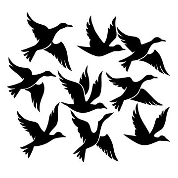A flock of flying birds vector illustration. A Flock flying Birds Silhouette collection 
