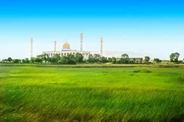Fototapeta na wymiar Songkhla Central Mosque and the field of rice