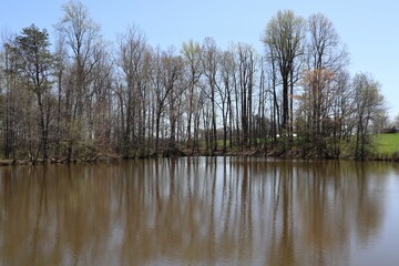 Landscape of trees ad their reflection in the pond in North Carolina, USA