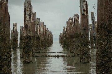 a ruined wharf sitting in the water - Powered by Adobe