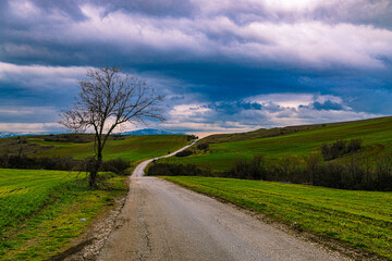 Drone shot of a narrow path surrounded by green fields under the cloudy sky near Skopje, Macedonia