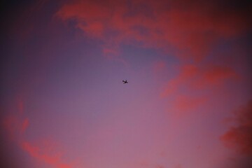 Scenic view of a plane flying in a purple sky during a beautiful sunset