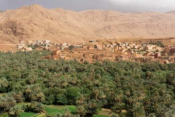 Fototapeta na wymiar Ouarzazate city in Morocco in Sahara Desert surrounded by green trees and hills