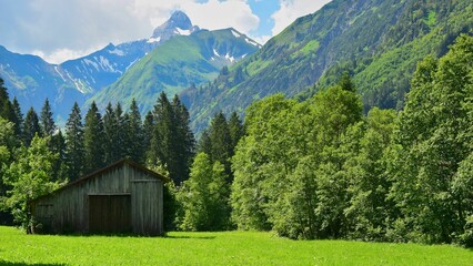 Beautiful shot of a small wooden house on a green field surrounded by trees