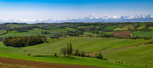 Countryside landscape in the Gers department in France with the Pyrenees mountains in the background - obrazy, fototapety, plakaty