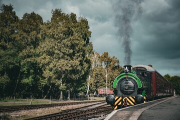 Steam locomotive driving over the railway tracks surrounded by trees during the daytime