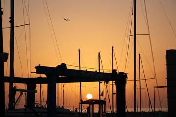 Lighting and color of the sky above the horizon at sunset.