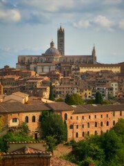 Fototapeta na wymiar Siena cityscape with Metropolitan Cathedral of Saint Mary of the Assumption in the background, Italy