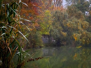 Natural view of a calm river and an abandoned house in an autumnal forest