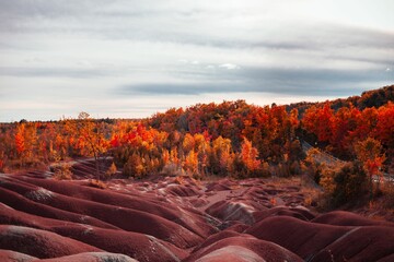 Beautiful view of The Cheltenham Badlands with colorful foliage and an overcast sky above
